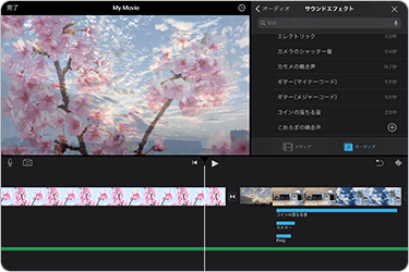 開催プログラム 映像の画像